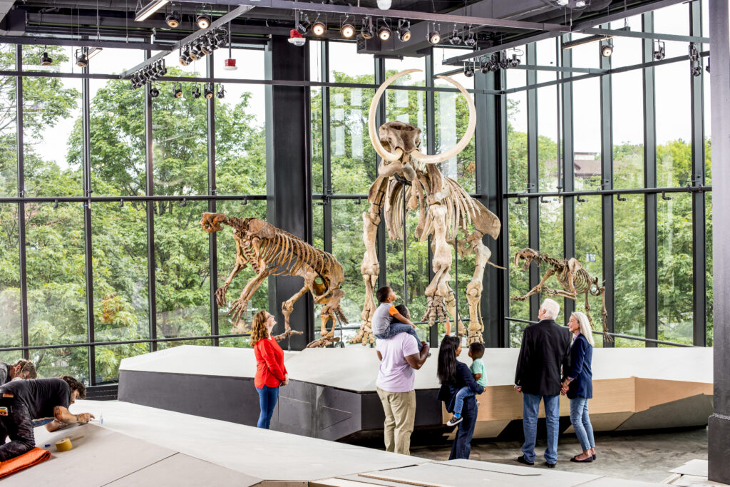 A group of kids and adults look at skeletons at the new Burke Museum