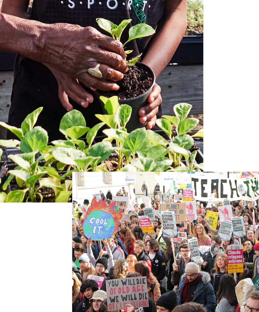 A collage of two photos. The first shows Black hands planting a seedling. One pair looks like they belong to a young person and one looks like it belongs to an older person. The second image shows a large group of people at a climate protest. Visible signs include 