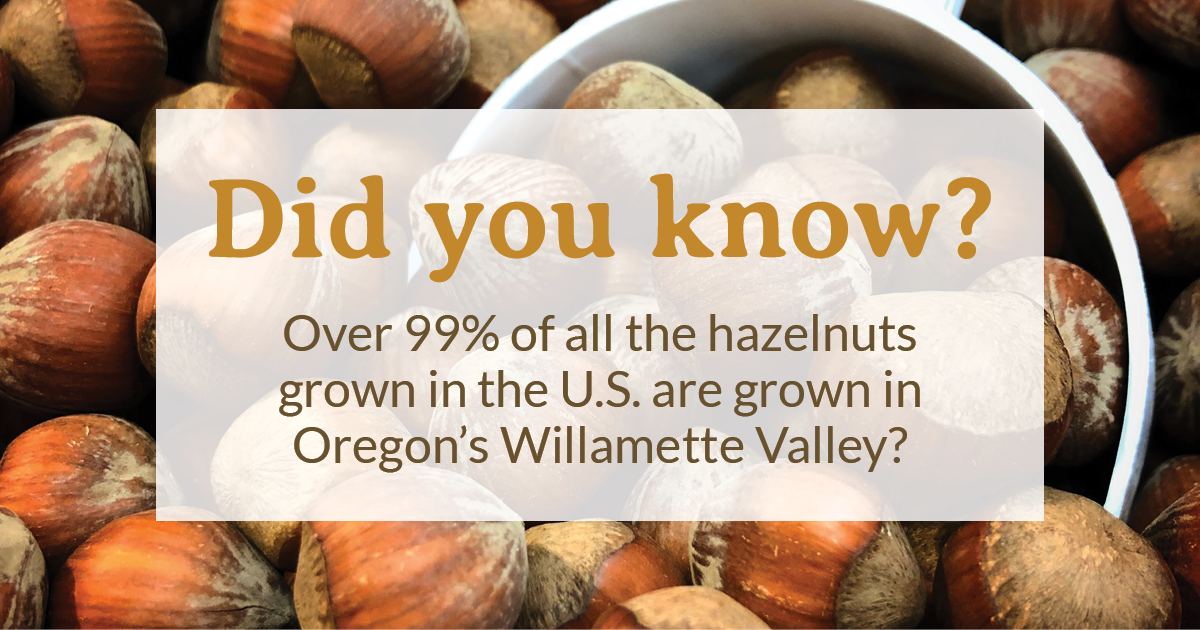 Close up image of hazelnuts with overlay text that reads: Did you know? Over 99% of all the hazelnuts grown in the U.S. are grown in Oregon's Willamette Valley?