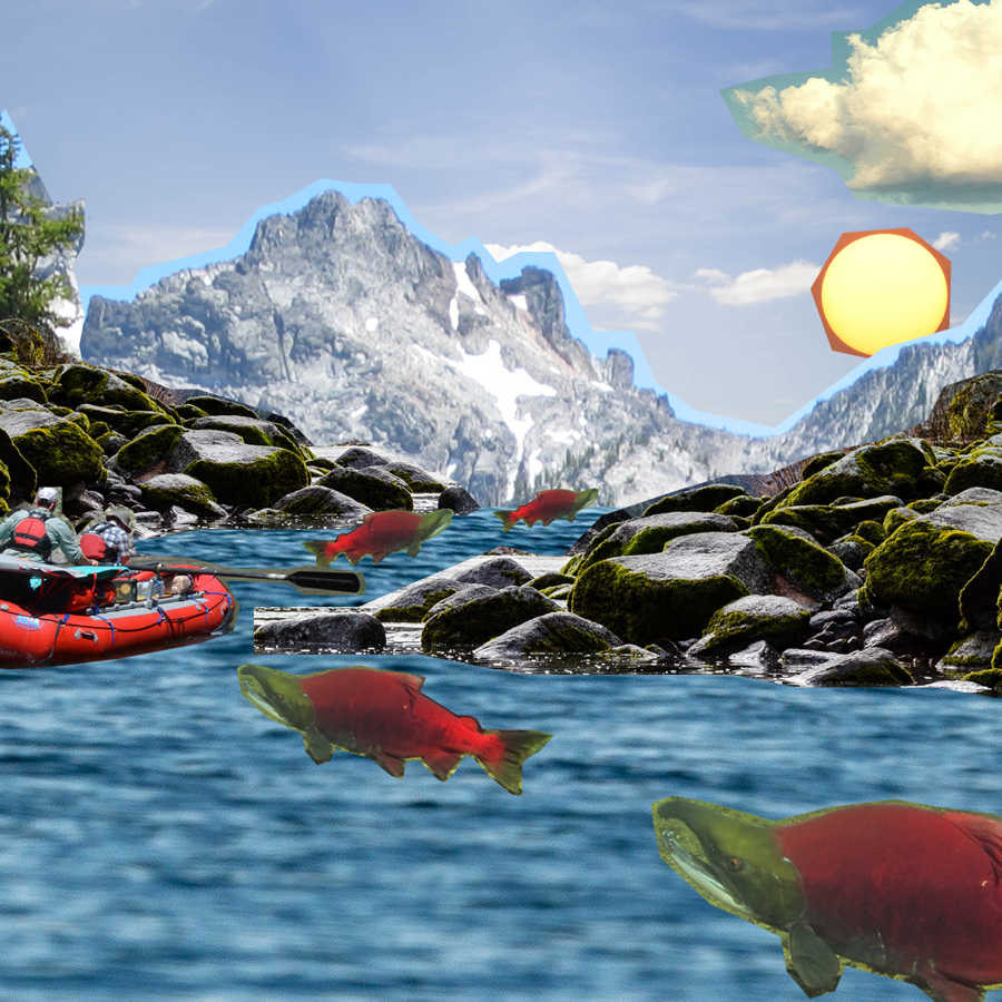 Collage-style photo of the Snake River with mountains in the background, salmon in the river, and people on a raft.